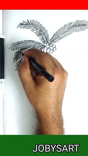 How to draw a coconut tree#drawing #art
