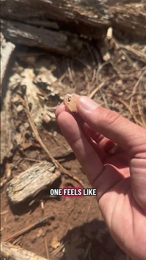 🔦 You won’t believe what’s sparkling in the dirt at Diamond Point… #arizona #travel #crystals