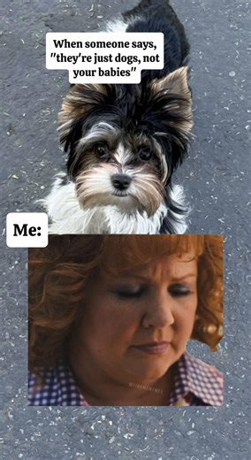 Hilarious Dog Memes That Will Make You Smile