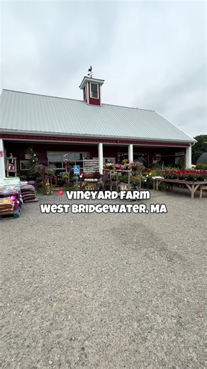 amandaabrockk on TikTok