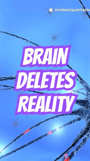 Your Brain Erases Most of Reality Every