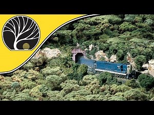 Forest Canopy™ - Woodland Scenics