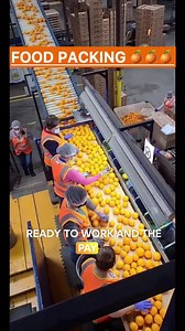 Job offers available. Find out more 🤩 | Best job offers