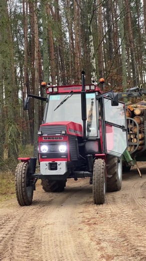 Exploring Forestry Equipment and Techniques