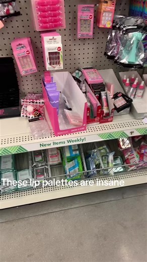 Incredible Dollar Tree Lip Palettes to Discover