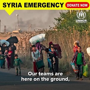 Right now, Syrian refugee families are struggling to survive in harsh conditions. Rush your gift today and help refugee families find safety and put food on the table. Please, donate today. | UNHCR, the UN Refugee Agency