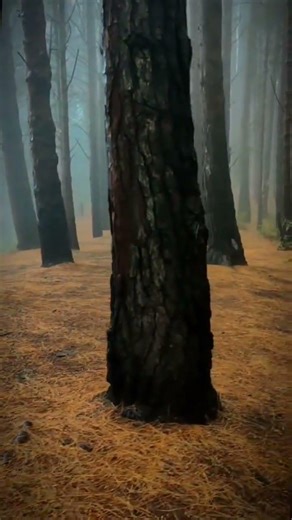 When God takes first place, everything falls into place.