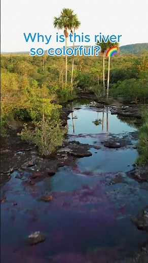 🌍THE RAINBOW RIVER OF COLOMBIA 🇨🇴