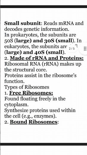 What Are Ribosomes? Structure & Function Explained | Ribosomes structure‪@Sciencespherezone‬