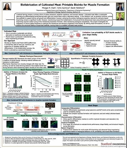 Capstone Presentation_V4