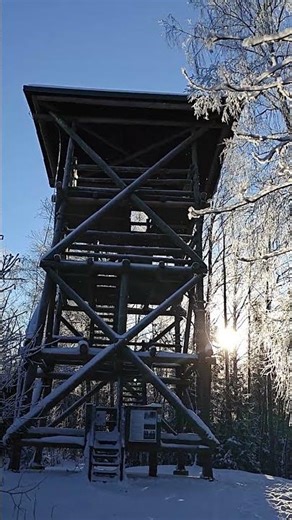 2 февраля 2026 г.