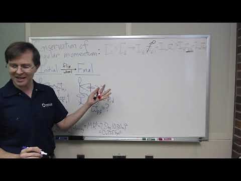 Angular momentum: rotating stool and wheel