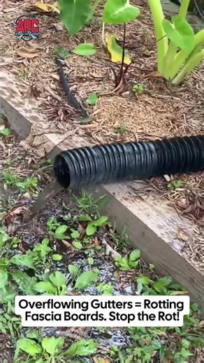 Gutter Cleaning