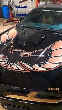 The Ultra Rare 1 of 77 Bandit Edition Trans Am Firebird! #Pontiac #firebird #bandit #black