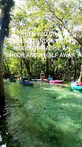 Rainbow River is waiting for you!! Don’t sleep on this hidden gem of Florida!! Plus we’ve got the cutest bungalows right by the river you can stay in! We’re here when you’re ready to dive in! Book today and plan the most magical vacation florida has to offer - that is free of crowds and tourists 😘 #floridavacation #beautifuldestinations#vacationrentalflorida #flwinter#floridaairbnb #travel#floridavrbo #travelinspo#floridatravel #floridatravelguide #floridalife #mustseeflorida #visitflorida #lov