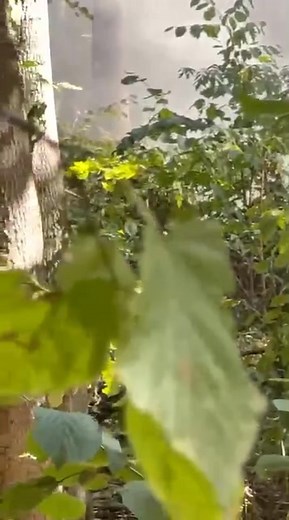 During our training we often use smoke grenades made by a Ukrainian volunteer group called Iron 100, based in Kryvyi Rih. These smoke grenades are made from materials purchased from donations and free to military units and training centers. We greatly appreciate them! | Tactical Combat Advisory Group