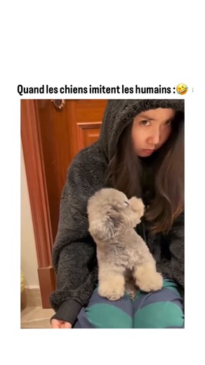Julien👻 on Instagram: "les meilleurs #meme #memes #funny #reels"