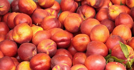 Pêche, brugnon, nectarine: comment les différencier ?