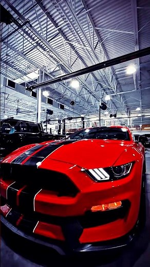 🐍526hp, flat-plane crank, manual only. Ford MUSTANG SHELBY GT350