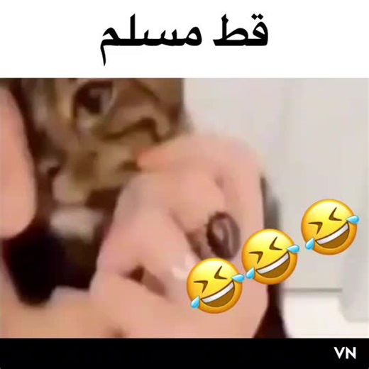 فيديوهات أنشأها FORZA🔥❤️ (@forza._2) باستخدام الصوت الأصلي - FORZA🔥❤️