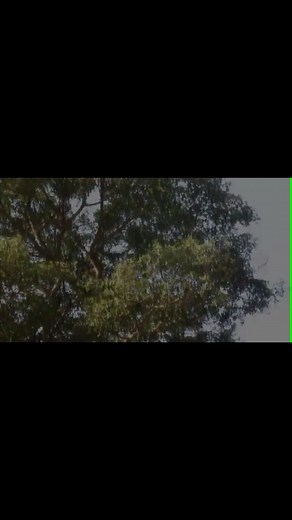 a thi lili 😭😹😹😹 #vhatalithecomedy #vhatali2 #vhatalivendacomedy #SAMA28