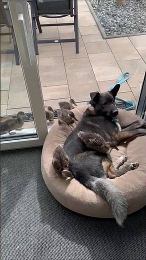 The Sweetest Friendship You'll See Today