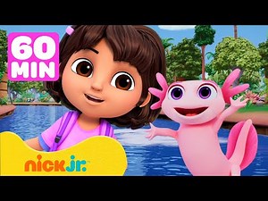 Dora | ¡Dora rescata animales bebés! 🦎 60 minutos | Nick Jr. en Español