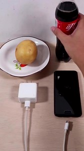 Potato charger | Vector