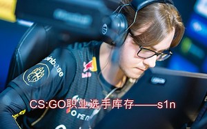 CS:GO职业选手库存——s1n