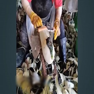 Fastest Workers 2021 Amazing Level Master | The Crooked Crow