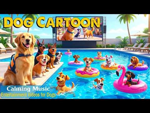 Cartoon Dog Music, in Colors They Can See! Best Dog Cartoon for Puppies Home Alone & Relaxing Music