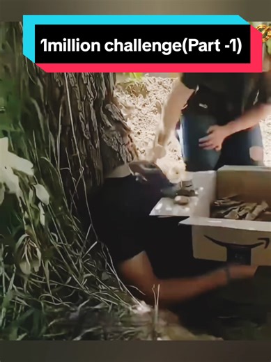 1 Million Challenge: Part 1 Recap