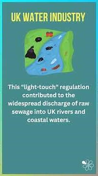Regulatory Capture I 60 Second Economics