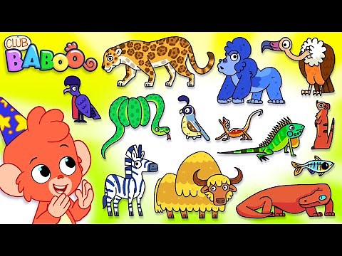 Animal ABC | Learn the alphabet for kids with Cartoon Animals and more with Club Baboo