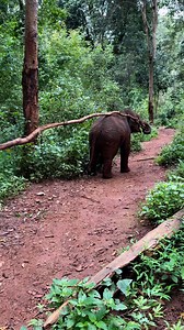 864K views · 5.2K reactions | Bank Mahout on Reels | Facebook