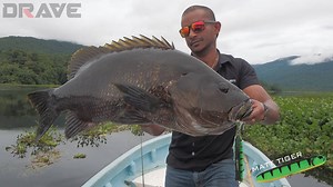 4.4K views · 204 reactions | Drave on Reels | Facebook