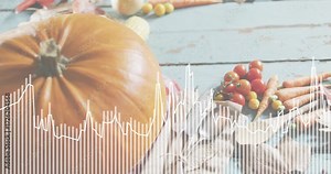 Upon audio input waveform rising and falling across table with pumpkin visualizing sound dynamics