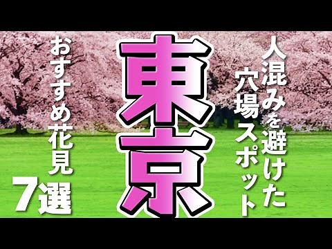 [Tokyo 2021] 7 cherry blossom viewing spots! Enjoy the cherry blossoms while avoiding the crowds