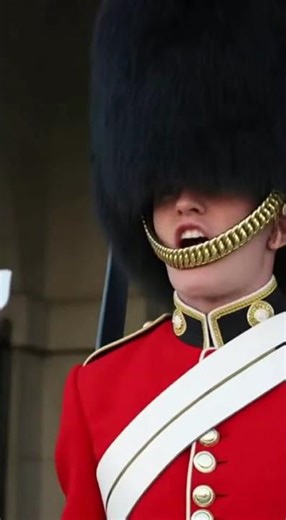 When the Guard Protected the Queen’s Horse 🐎💂‍♂️