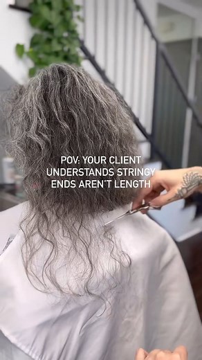 3K views | POV: YOUR CLIENT UNDERSTANDS STRINGY ENDS AREN’T LENGTH ✂️ When your client realizes healthy curls > stringy ends ‍♀️✨ Watch this satisfying curly hair refresh that brings bounce, shape, and true length back! Click the link to see the full transformation.  #CurlyHairTransformation #HealthyCurls #CurlyHairCut #TrimForGrowth #CurlyGirlMethod #DefinedCurls #CurlyHairCare #NaturalCurls #CurlyHairJourney #CurlyCommunity | Dusty Schlabach Curly Hair Stylist | Facebook