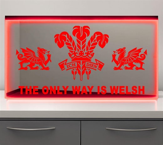 Truck Cab RGB Colour changing led mirror light board, customisable