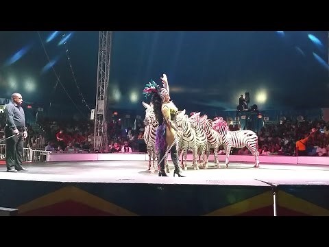 2015 UniverSoul Circus - Dancing Zebras