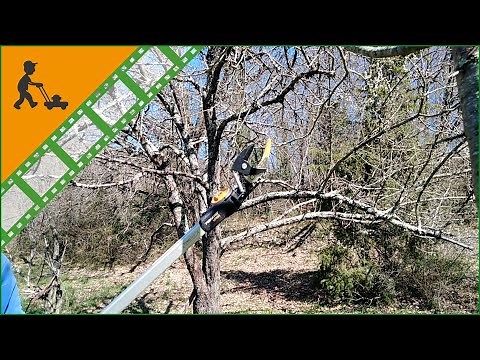 Démo de fonctionnement du Coupe-branches de taille télescopique professionnel Fiskars UPX86