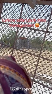 Life at Lahore on Reels