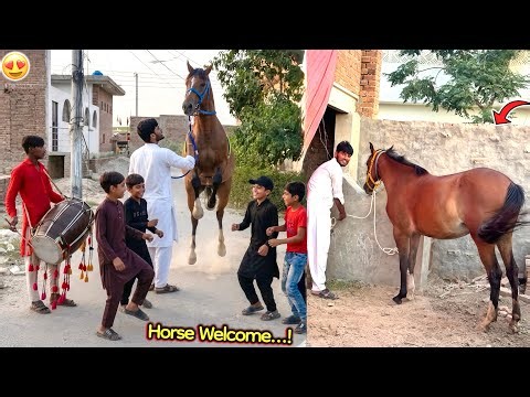 Celebration for the New Horse in the Pet House 😍🥁🐎 Horse Dancing + Welcome 🤗