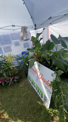 David Exline on Reels