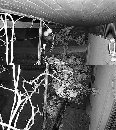 Bio orb conected to spining objects moving arround roof space