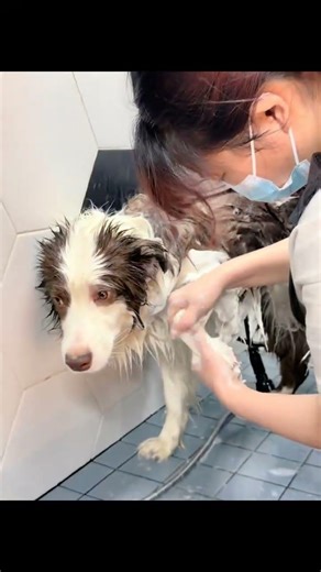 Behind the Scenes: My First Day as a Vet Assistant