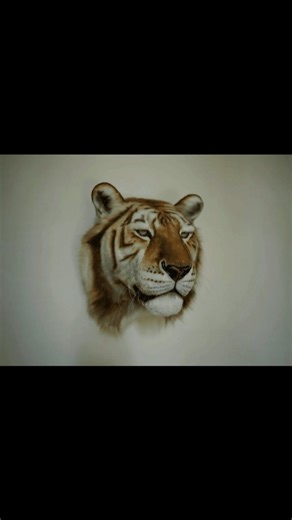Faux Animal Replicas | Golden Tiger Head Live Size 1:1 scale Worldwide shipping Reproduction Tiger Head is hand made of faux fur 100% artificial taxidermy The... | Instagram