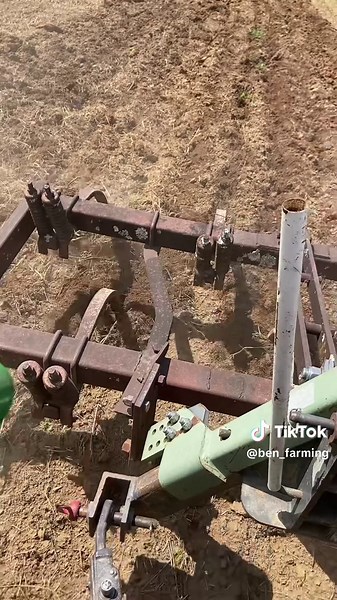 Joyful Farming Adventures in Small Fields